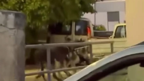Σοκαριστικό βίντεο
