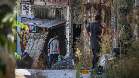 Κυψέλη