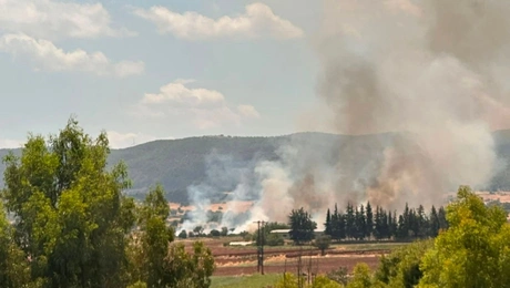 Φωτιά στα Οινόφυτα