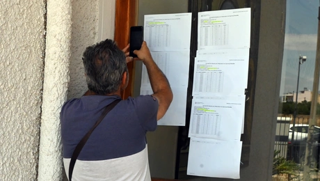 vaseis
