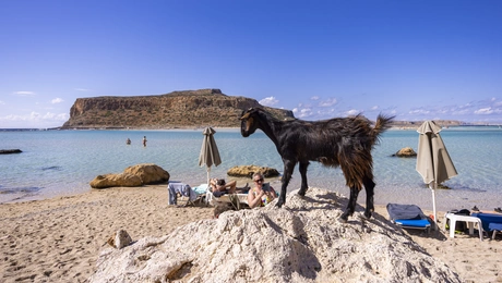 Μπάλος, Ελλάδα