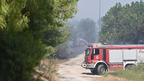Φωτογραφία αρχείου