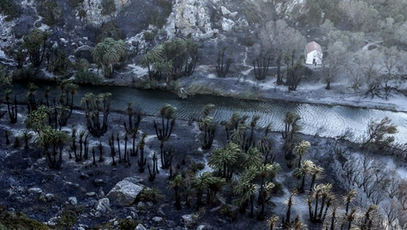 Οι εικόνες μετά τη καταστροφική πυρκαγιά
