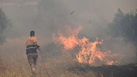 Βοιωτία 