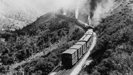 treno