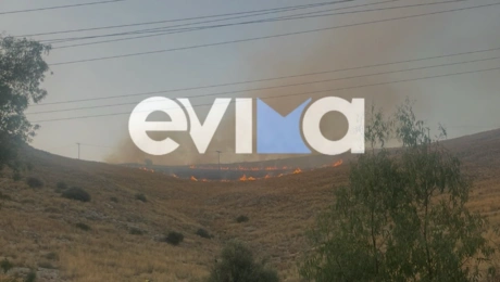Φωτιά στην Εύβοια