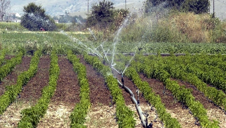 Ποτιστικά σε χωράφι