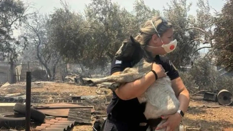 hellenicpolice_official