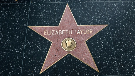 Elizabeth-Taylor
