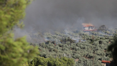Εικόνες από τη φωτιά στη Βοιωτία
