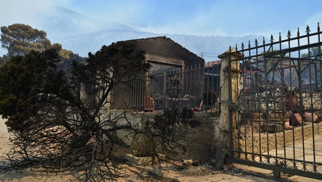 φωτιά δυτική Αττική