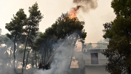 Φωτιές στην Αττικοβοιωτία