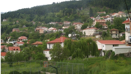 Χρυσομηλιά