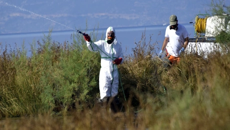 Ψεκασμοί για τα κουνούπια στην Αττική