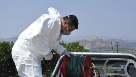 ιος δυτικού νείλου 