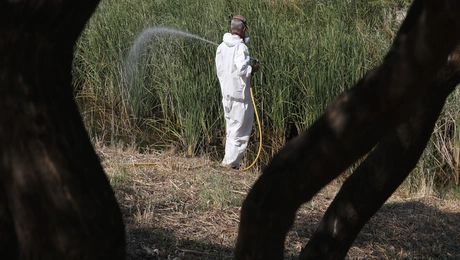 Αντικουνουπικός ψεκασμός στο πάρκο «Αντώνης Τρίτσης»