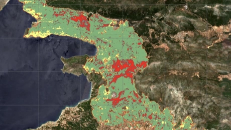 φωτια δυτικη αττικη