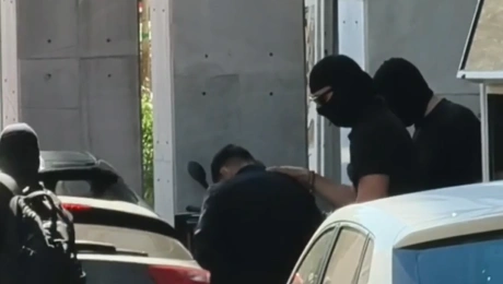Κυψέλη
