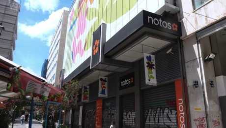 Notos