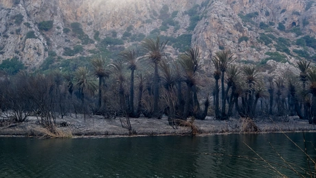 Η παραλία Πρέβελη στο Ρέθυμνο μετά την φωτιά
