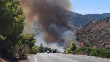 φωτια σαλαμινα