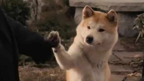 Hachiko: A Dog's Story