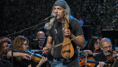 Δημήτρης Αποστολάκης