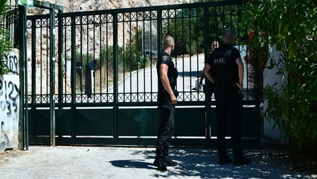 Κυψέλη