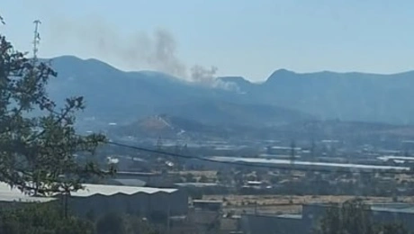 Φωτιά στη Μάνδρα Αττικής 