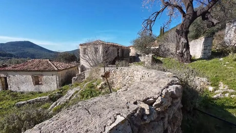 Πέστανη