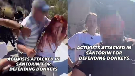 Η επίθεση στις ακτιβίστριες της PETA