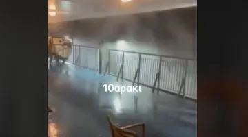 ploio-video-viral