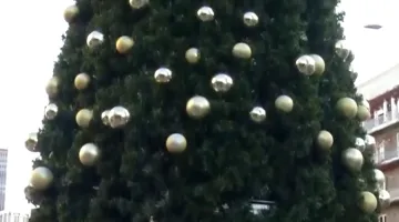 Χριστουγεννιάτικο δέντρο στη Μαβίλη