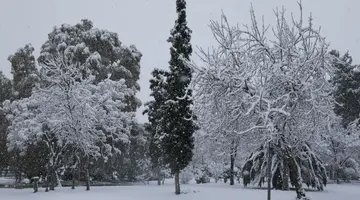 Χιόνι σε πάρκο