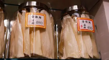 fermented shark
