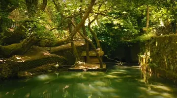 Το ρέμα του χωριού