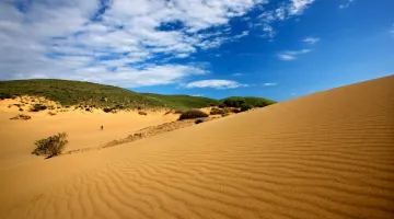 Αμμοθίνες - Λήμνος