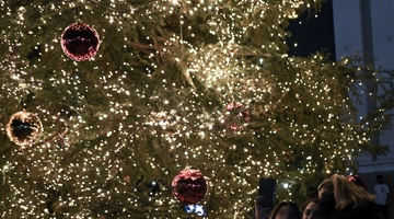 Χριστουγεννιάτικο δέντρο