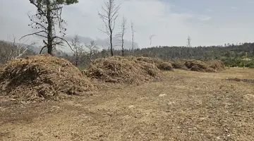 Ακαθάριστα οικόπεδα