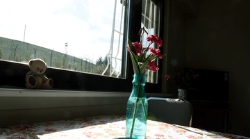 Στιγμιότυπο από τις αγροτικές φυλακές γυναικών στον Ελαιώνα.