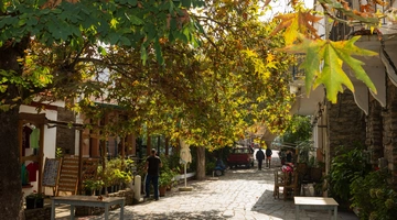 Ικαρία νησί