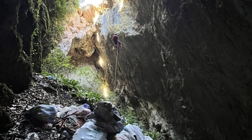 Διασώστης κατεβαίνει τον γκρεμό όπου βρέθηκαν τα κουτάβια Πήλιο