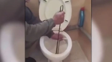 Φίδι σε λεκάνη τουαλέτας