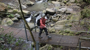 η μικρότερη γέφυρα στον κόσμο