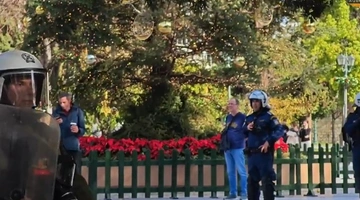 χριστουγεννιάτικο δέντρο