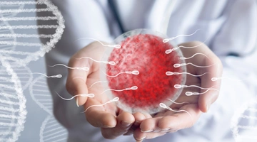 Σπερματοζωάρια