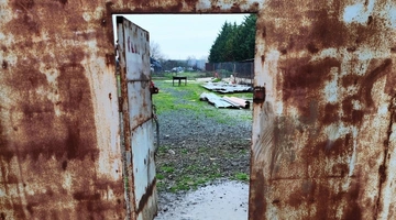 άτυπο-Κυνοκομείο-Αλεξάνδρεια