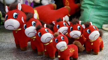 Viral λούτρινα στην Κίνα