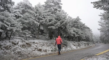 Χιονισμένος δρόμος