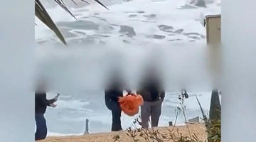 χελώνα κύπρος